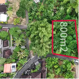 Di jual tanah dekat luna beach club cocok untuk villa
