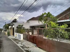 Rumah Bunga Mawar Dkt Hotel Savana Tengah Kota Malang