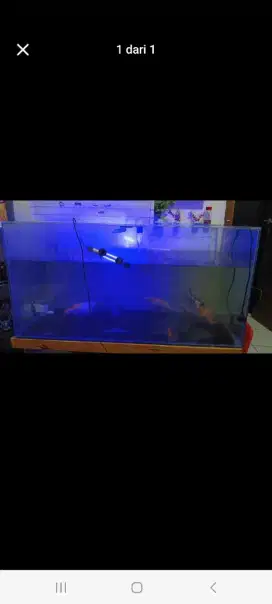 Aquarium 100x50x50 + filter 2 + 5 ikan