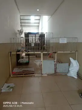 Dibutuhkan Asisten Rumah Tangga