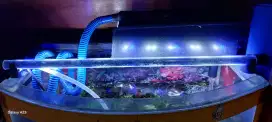 Jual aquarium beserta kelengkapan nya