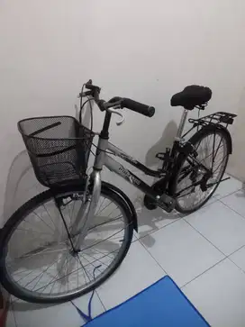 Poligon sierra ukuran 26