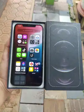 Iphone 12 pro max (inter)