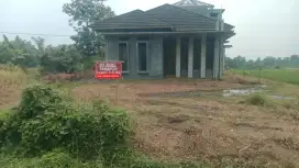 Di jual tanah 1,2 Hektar berikut sawah bonus rumah