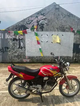 Tiger 2000 (tiger lama)