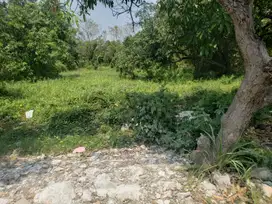 Dijual Tanah siap bangun di samping tol Manyar Gresik