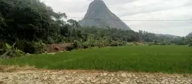 Jual tanah sawah produktip