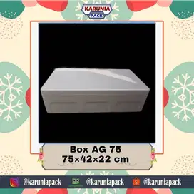 BOX STYROFOAM UNTUK DAGING/SAYUR/MAKANAN BEKU