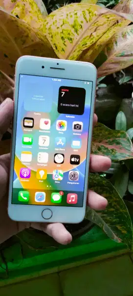 iPhone 7 plus 32gb Mulus no minus