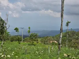 DIJUAL TANAH MURAH DATAR VIEW LEMBAH DAN LAUT DI BALI