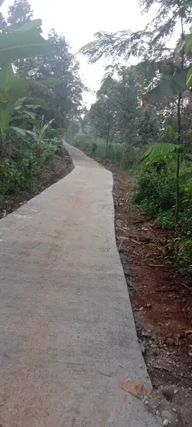 Di Jual Kebun Murah,Akses Mobil