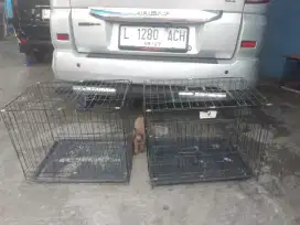 Jual 2 kandang kucing .kondisi baik semua minus kotor saja