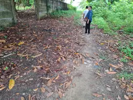 Tanah murah d jalan Naga Sakti stadion utama masuk Jalan Ma'ruf sakti