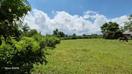TANAH 20 ARE DATAR DAN ZONA KUNING DI AWEN LELATENG JEMBRANA
