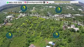 tanah usaha 1,4Ha pinggir jl.gubernur subardjo lianganggang
