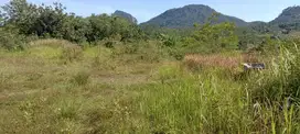 Di Jual Tanah Murah,Cocok Untuk Ternak