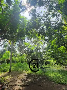 Tanah Bisa Untuk Cluster Di Manado