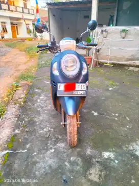 Honda Scoopy fashion 2023