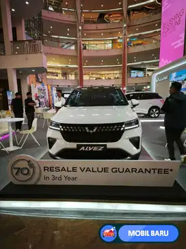 [Mobil Baru] WULING ALVEZ EX