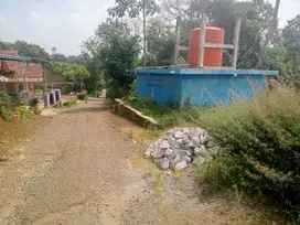 Tanah Darat Subur Penanaman jenis apapun