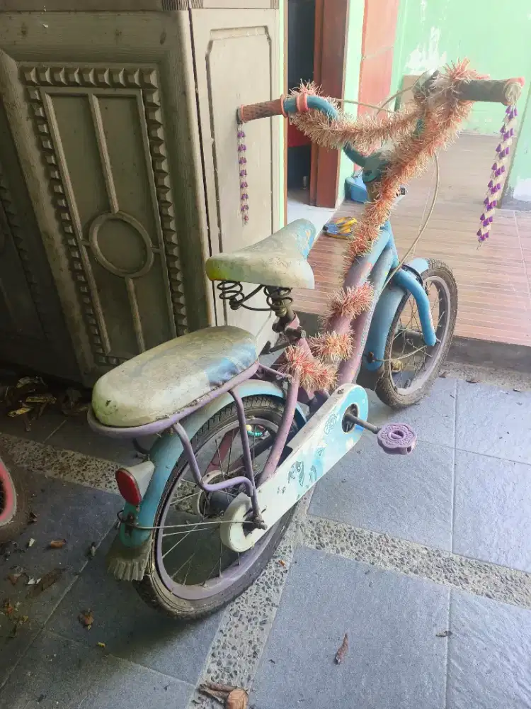 Sepeda Anak Perempuan