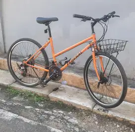Jual sepeda federal lady uk 26 speed 6+3.