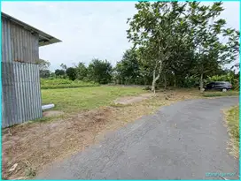 3 Jt an Only, Tanah Palagan Dekat Pasar Rejodani, Sleman
