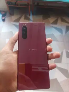 Xperia 5 wifi only