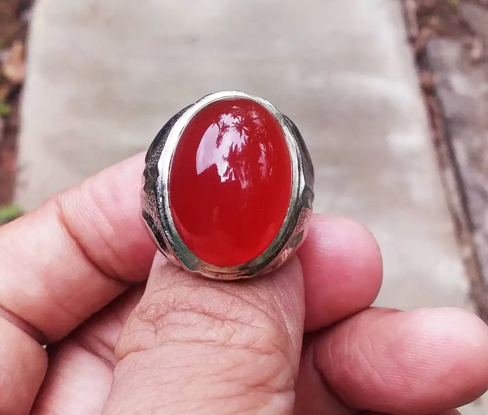 Batu Akik Red Raflesia