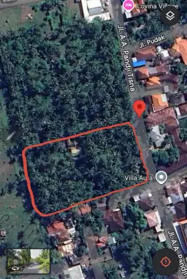 Tanah cocok kavling villa di kaliasem lovina dekat pepito kebun kelapa