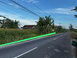 Tanah Asri Bagus tepi jalan utama Area Wisata Candi Prambanan, Plaosan