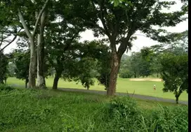 DIJUAL TANAH TAMAN DAYU SENJA SENTOSA LESTARI PASURUAN RON.A2119