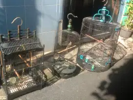 Jual 11 kandang burung