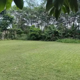 TANAH SIAP BANGUN KOST EXCLUSIVE DI UNDIP TEMBALANG LOKASI BULUSAN TEM