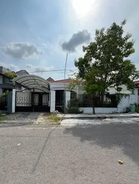 Rumah Manyar Rejo