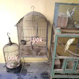 Kandang Burung Gantung Tabung Love Bird Parkit Sangkar Duduk