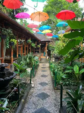 Dibutuhkan segera WAITER