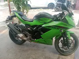Ninja 250..rr mono
