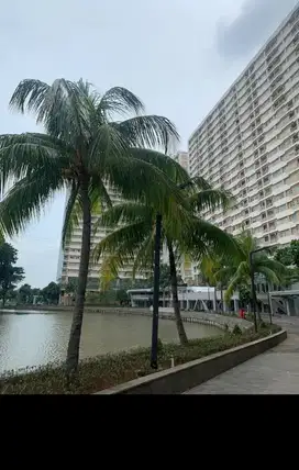 Dijual Appartement Travium Terrace Di Cikarang Bekasi