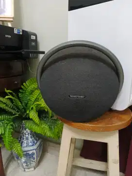 Harman Kardon onxy 7
