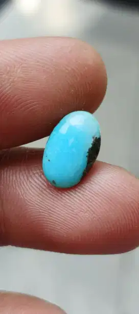 pirus persi full daging