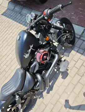SM sport V16 custom sporster