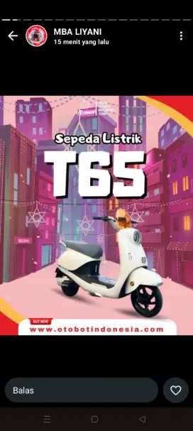 Sepeda listrik T65 Lithium