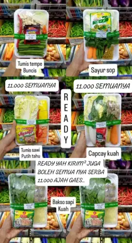 JUAL NASI KEPAL JUGA SAYURAN SIAP MASAK