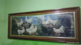 Lukisan burung bingkai 160cm x 60cm