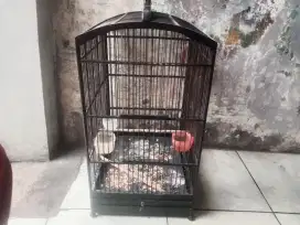 Kandang msh bagus