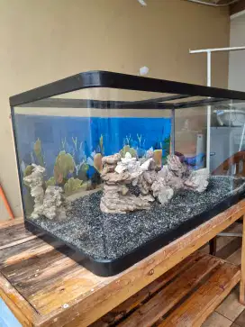Dijual cepet Aquarium merk Nisso kaca Oval