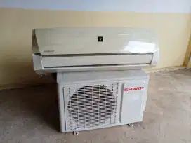 AC Sharp 1/2 PK second