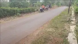 Dijual Kebun rambutan 700 m2 Purwadadi Subang