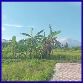 Tanah Jogja Kaliurang View Merapi SHM Pekarangan